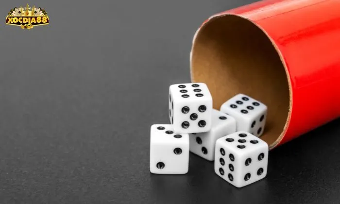 Dấu hiệu nhận biết các loại cầu khi soi cầu xóc đĩa